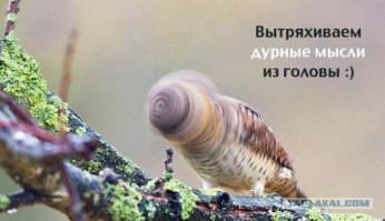 Береги голову от чужих мыслей