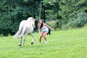 Не понял, которая из лошадей атакует?