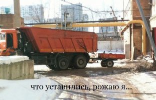 Прикольные картинки. Выпуск ночной