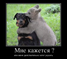 Зверюшки атакуют