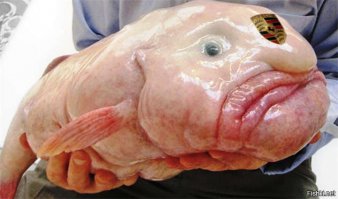 Прикольные автомобили