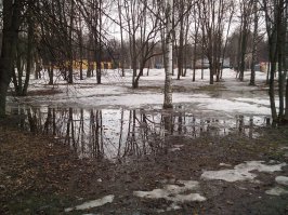странно слышать такое 26 марта