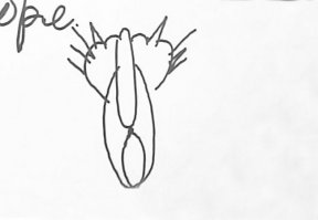 мама дело говорит.