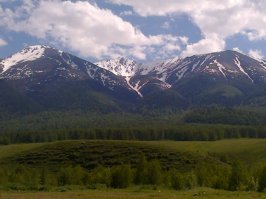 а я из Катон-Карагая!