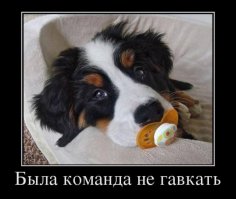 Гифки дня