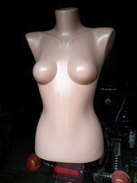 1.лучше так !
2.краткий пересказ о девушке .