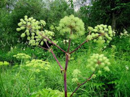 Тронул струны. Спасибо.