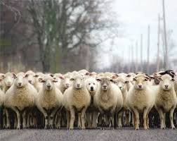 <span style='color:gray'>[мат]</span>   а  ть  мой старый велосипедик