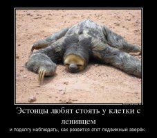 6 чудес Эстонии, о которых мало кто из туристов слышал