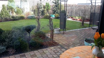 В правом углу можно увидеть мини огородик