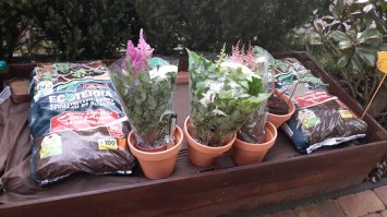 Красивые томатики :)
А я только готовлюсь :)