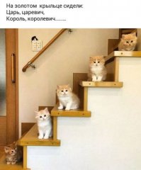 а снизу Иванушка-дурачок