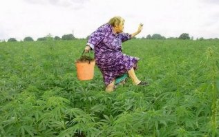 5 чудес Казахстана, о которых вы не знаете