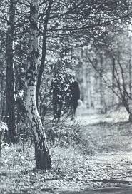 Взять к примеру, эээ, кхм, ну пусть будет, Основоположника Русской фотографии: Л.Дыко. Его книги считаются учебниками по фотографии, а вот сами фотографии в этих книгах... Ну судить Вам: