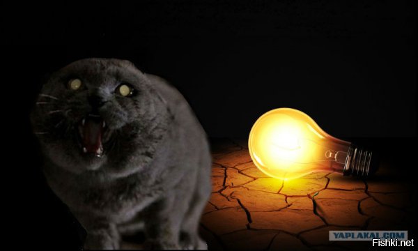 Как мне вор денег сэкономил