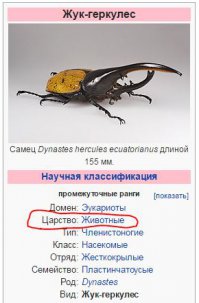 Автор комментария уже давно деградировал.