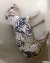 Смешные комментарии и высказывания из социальных сетей