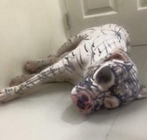 Смешные комментарии и высказывания из социальных сетей