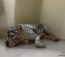 Смешные комментарии и высказывания из социальных сетей