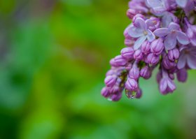 Я вот позавчера фоткал во дворе у себя )