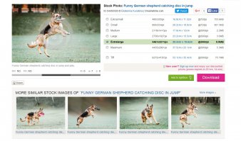 Из серии "Гляньте, каких я скачал с фотобанка снимков, и шлёпнул на них свой водяной знак, что бы вы могли зайти на мой сайт, ибо за рекламу не хочу платить, буду выкладывать всё подряд с сылкой на себя".