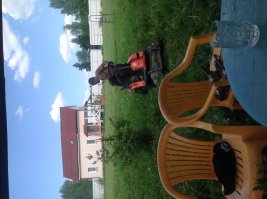 Я или цыганята. Вот фото косильщика.