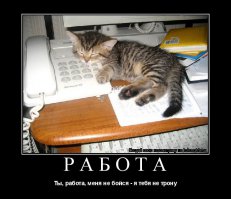 О пагубных последствиях ненависти к Понедельнику