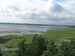 Болото Эндла - туда покупать разрешение на рыбалку надо за год!