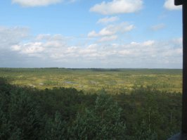 Болото Эндла - туда покупать разрешение на рыбалку надо за год!