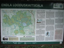 Болото Эндла - туда покупать разрешение на рыбалку надо за год!