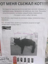 Смешные комментарии и высказывания из социальных сетей