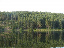 Красотища то какая. Но мы пока дома отдохнем, на Урале тоже есть красивые места.