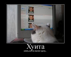 Женский реслинг в Японии, круче чем мужской