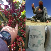 О, арабика АА это наша тема... 4км от моего дома плантации. Есть видео много крутого, но времени на монтаж нет по кофе... понемногу  буду выгружать