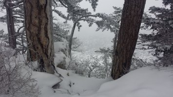 о законо проекте впервые слышу, правда есть такой или сказки?
ну и добавлю немного своих, недавних фото (2016)