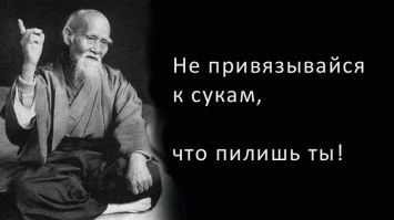 Вот это профи! Спил 40-метрового дерева в Австралии