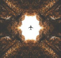 Самолет вставлен фотошопом...