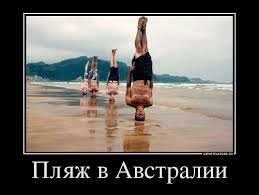 Австралийская дюжина фактов