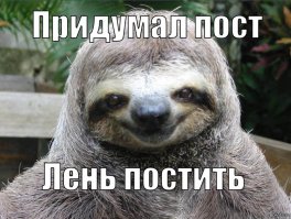 Люди, которые вывели лень на новый уровень