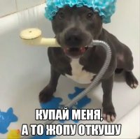 Мастера намеков, у которых есть чему поучиться 