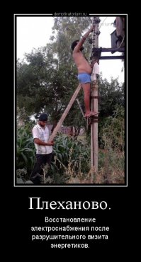 Всем бы таких помощников