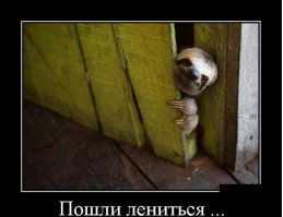 Люди, которые вывели лень на новый уровень