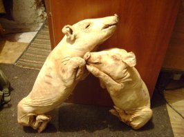 Подборка ужасно красивых фотографий