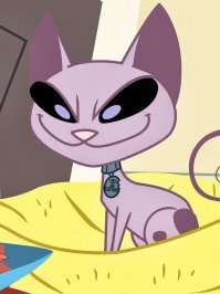 Кошки - Тайные агенты космических цивилизаций