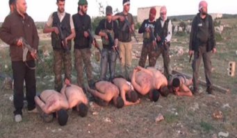 Вот по-настоящему дикие животные: