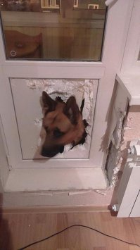 сцобакен знает толк в извращениях! ну если вы понимаете о чем я говорю