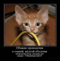 20 эпических фотографий о том, что технологии повсюду
