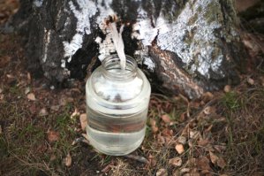 у нас вот скоро начнется...