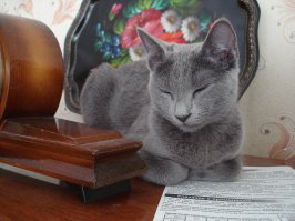 Сейчас такая