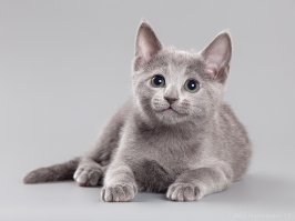 Моя, год назад )